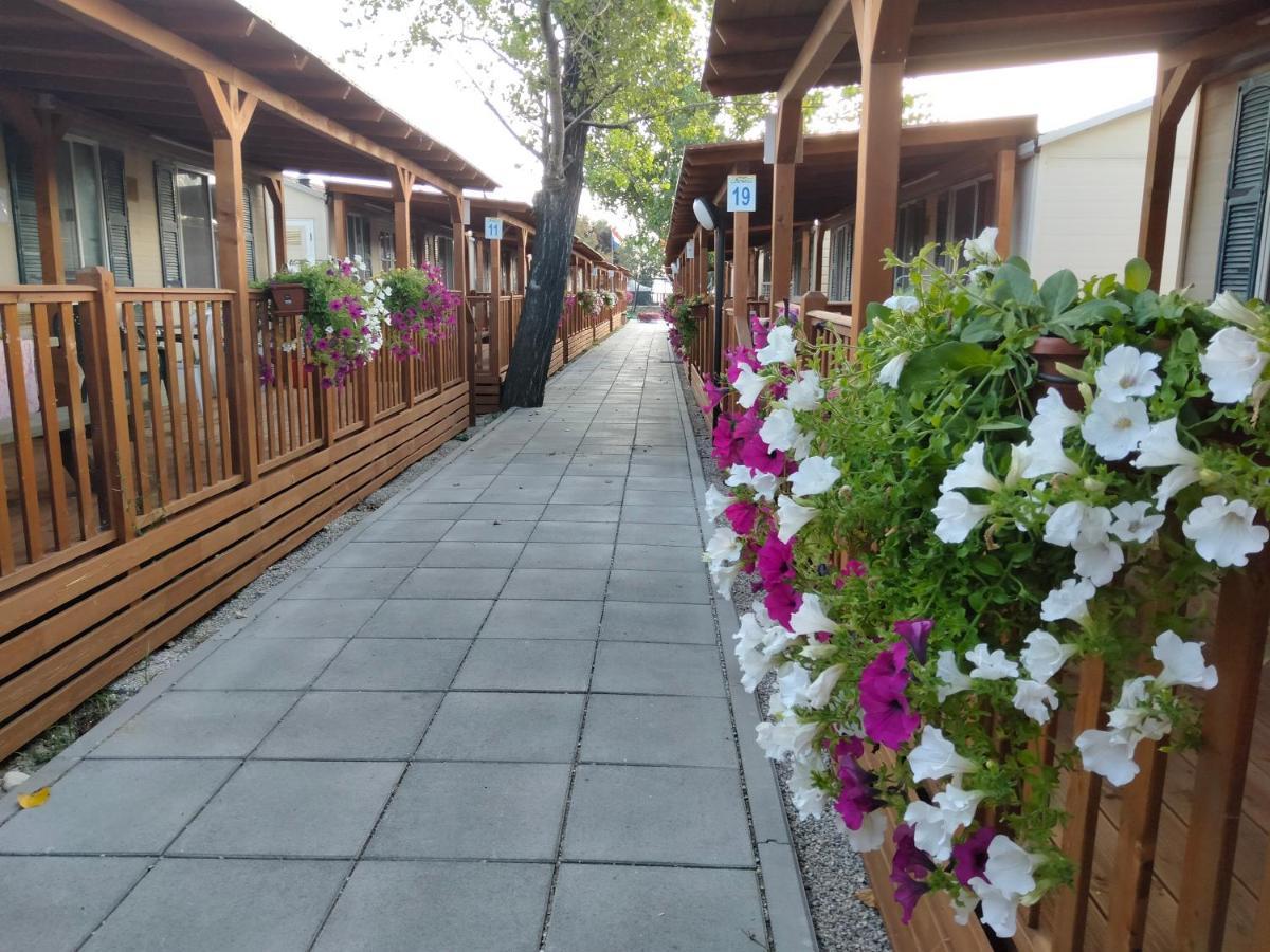 Villaggio Degli Angeli Scerne Pineto מראה חיצוני תמונה